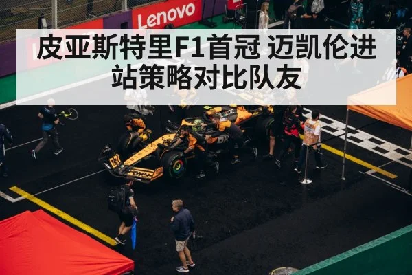 F1 pit stop strategy